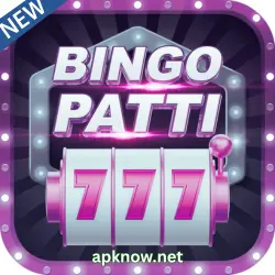 Bingo Patti Game